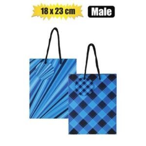 Gift-bag paper med 18x23cm every male