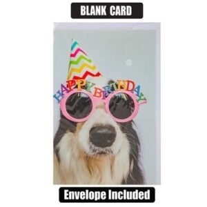 Card & envelope humour (1)