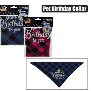 Dress up pet birthday collar