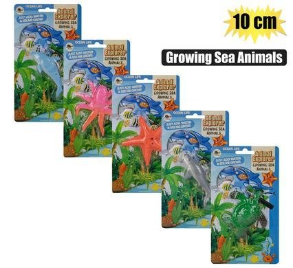 Novelty growing sea animals 10cm asstd